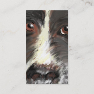 Visite Carte de visite, délivrance de border collie