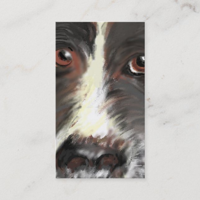 Visite Carte de visite, délivrance de border collie (Devant)