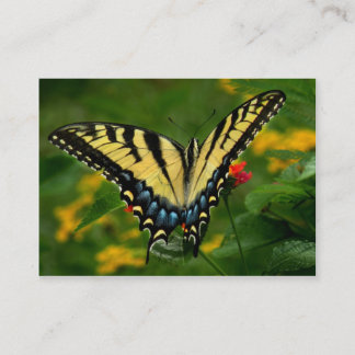 Visite Carte jaune d'ATC de papillon de machaon de tigre