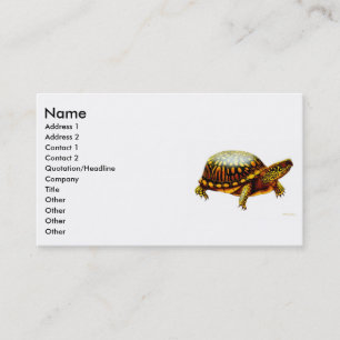 Visite Carte orientale de profil de tortue de boîte