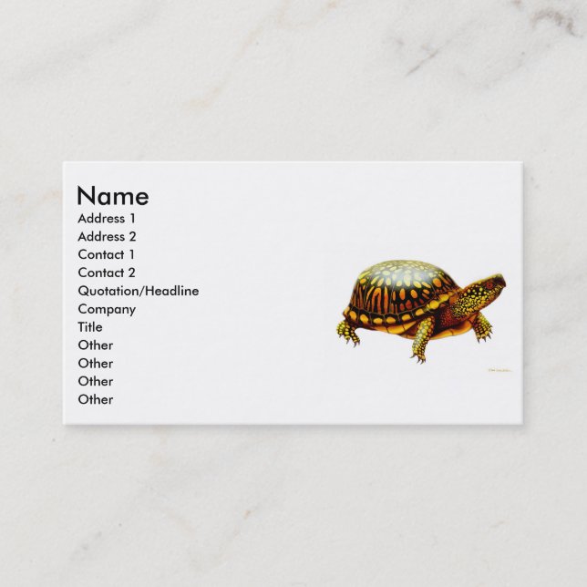Visite Carte orientale de profil de tortue de boîte (Devant)