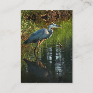 Visite Carte photo 2 d'ATC de héron de grand bleu