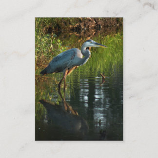 Visite Carte photo 2 d'ATC de héron de grand bleu