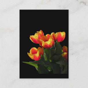 Visite Carte photo d'ATC de tulipes de Rembrandt