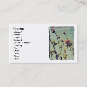 Visite Carte rose de profil de chardon