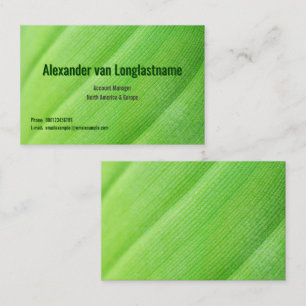Visite Carte verte avec feuille de banane