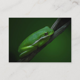 Visite Carte verte d'ATC de grenouille d'arbre