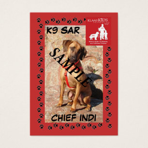 Visite Cartes de collection de SAR K9 (remorquage)