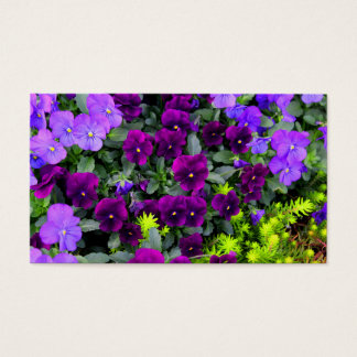 Visite Cartes de notes Pensées Violettes