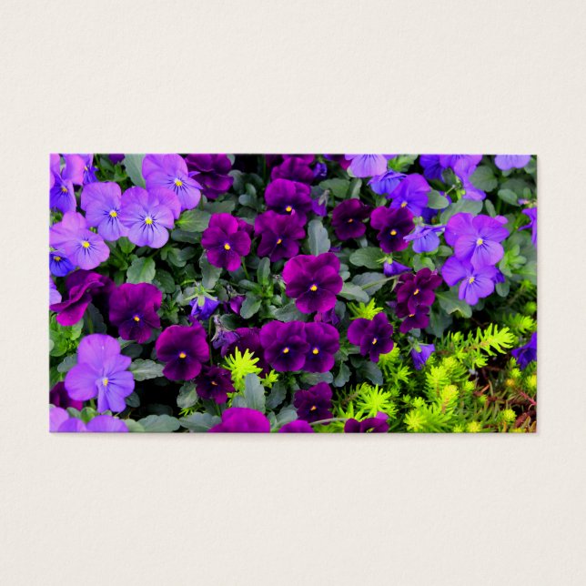Visite Cartes de notes Pensées Violettes (Devant)