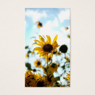 Visite Cartes de tournesol