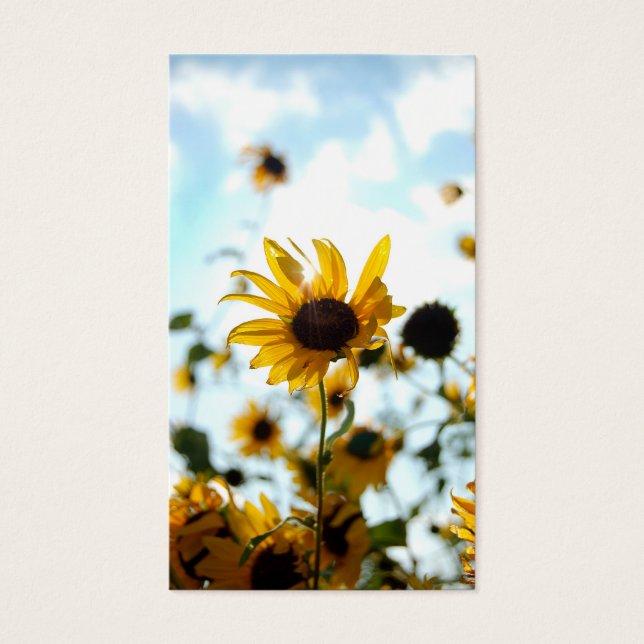 Visite Cartes de tournesol (Devant)