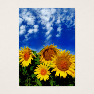 Visite Ciel et fleur, cartes de profil