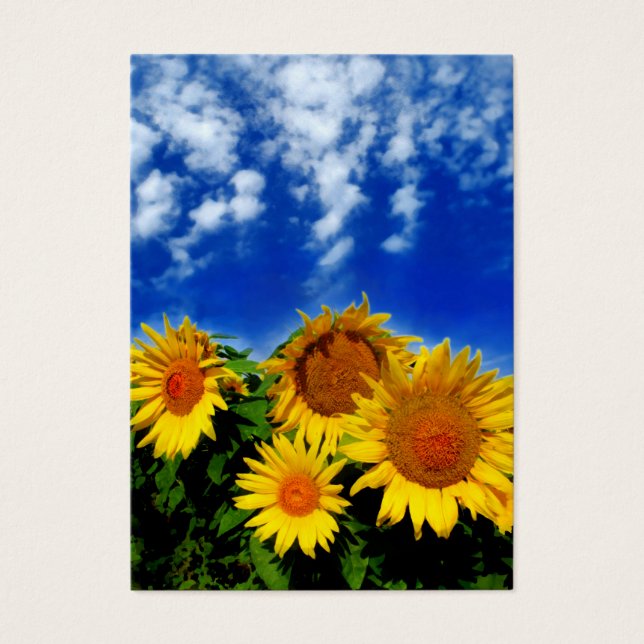Visite Ciel et fleur, cartes de profil (Devant)