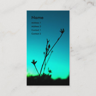 Visite Dans la carte rêveuse de profil