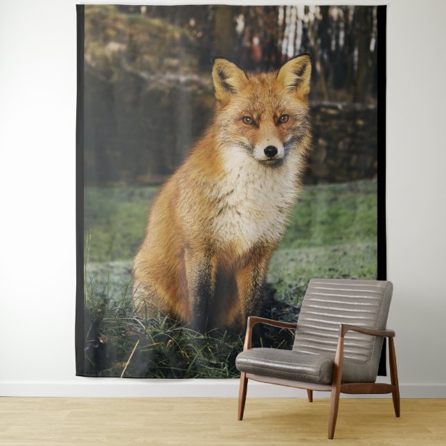 Visite de la Tapisserie de Fox (En situation)