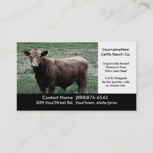 Visite Grande vache Brown - carte de ferme ou