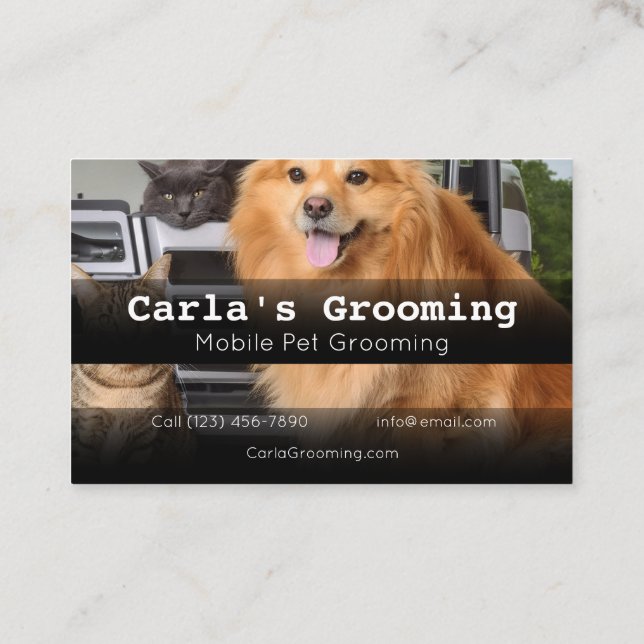 Visite Grossissement d'animaux de compagnie mobiles Carte (Dos)
