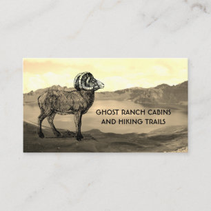 Visite Location cabine ou Bed and Breakfast Carte de visi