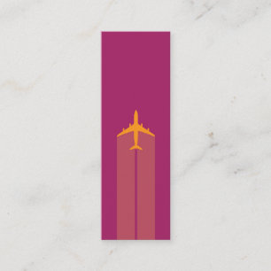 Visite Mini Avion, carte de pilote