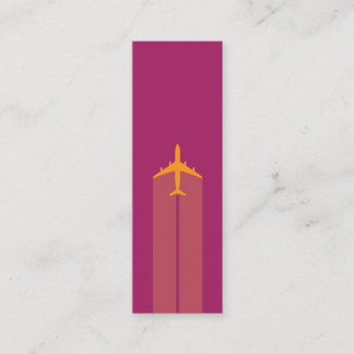 Visite Mini Avion, carte de pilote