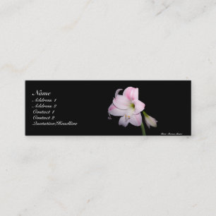 Visite Mini Carte de lis rose et blanc