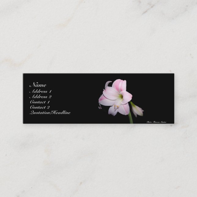 Visite Mini Carte de lis rose et blanc (Devant)