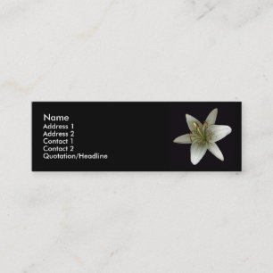 Visite Mini Carte de profil d'astronome