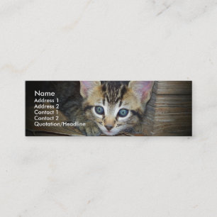 Visite Mini Carte de profil de chaton