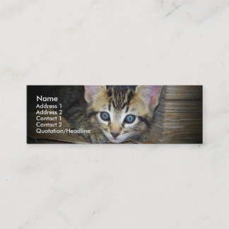 Visite Mini Carte de profil de chaton