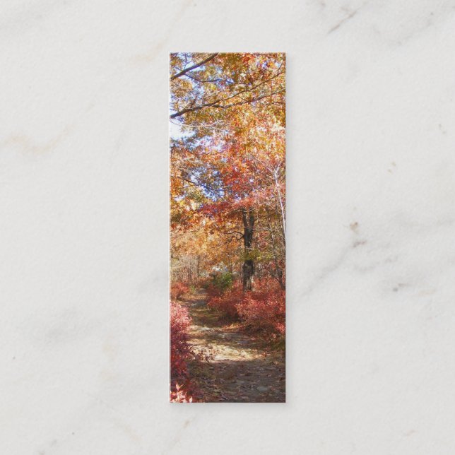 Visite Mini Carte de profil de ~ du chemin 27 d'automne (Devant)