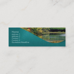 Visite Mini Carte de profil de solde