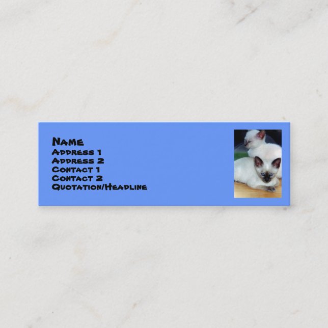 Visite Mini Carte de profil Siamese Kittens (Devant)