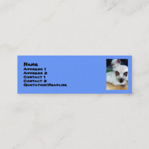 Visite Mini Carte siamoise de profil de chatons