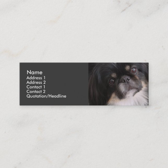 Visite Mini Modèle de carte de profil - chien de Pekingnese (Devant)