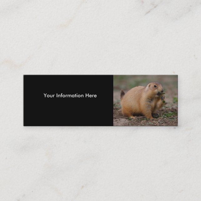 Visite Mini profil ou carte de visite, chien de prairie (Devant)