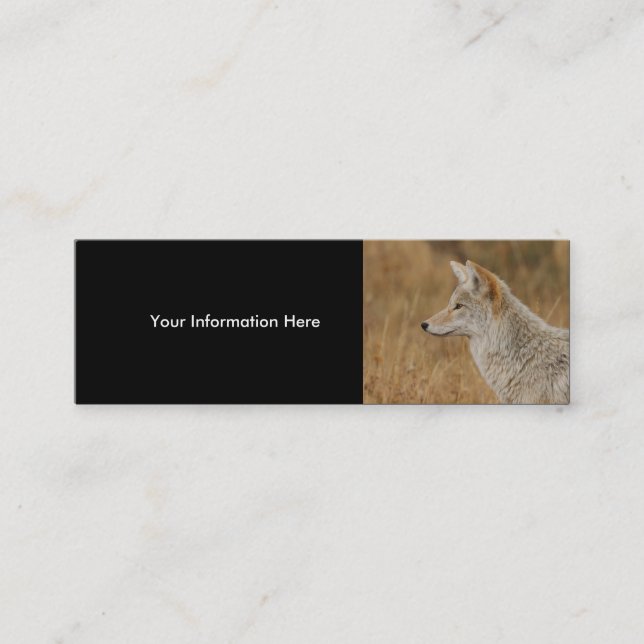 Visite Mini profil ou carte de visite, coyote (Devant)