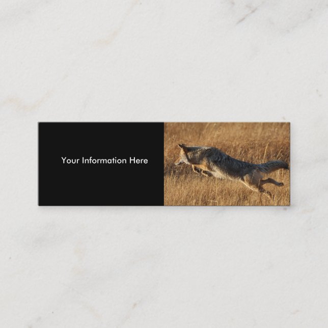 Visite Mini profil ou carte de visite, sauter de coyote (Devant)