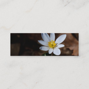 Visite Mini Signet fleur sauvage / Carte de contact