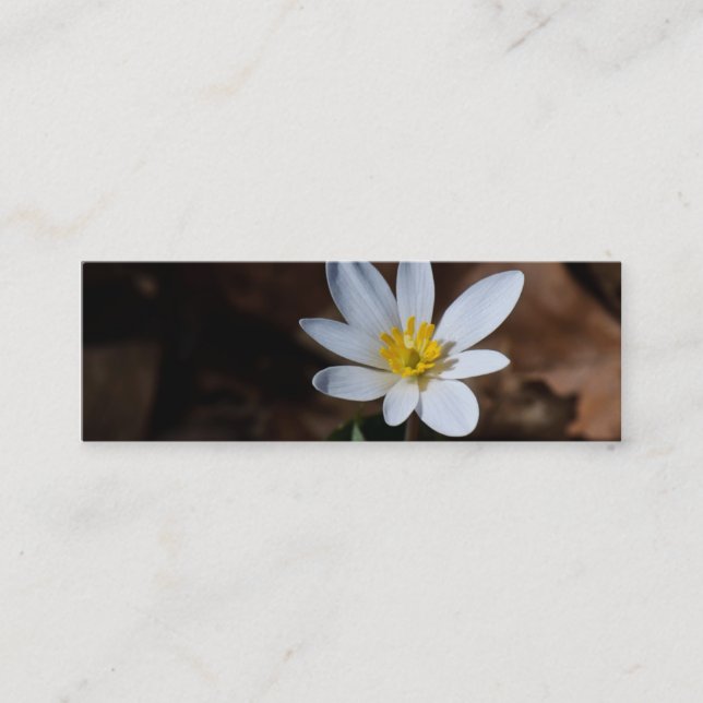Visite Mini Signet fleur sauvage / Carte de contact (Devant)
