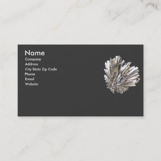 Visite Modèle de carte professionnelle élégante