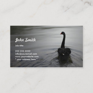 Visite Natation élégante de cygne noir sur une carte de