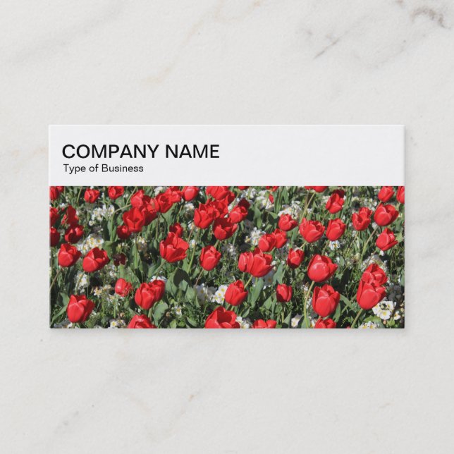 Visite Panneau supérieur - Lit de tulipes 02 Carte de vis (Devant)
