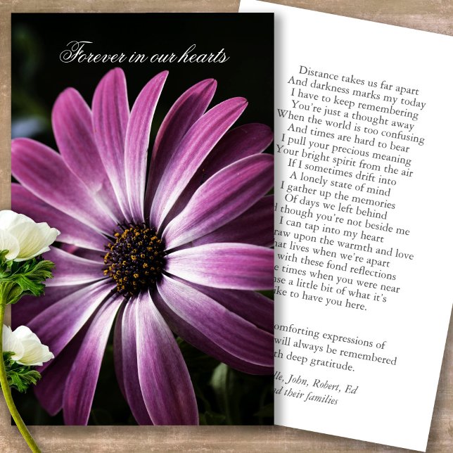 Visite Perte funéraire Purple Daisy Prière Cartes de Symp (Forever in our hearts, celebration of life, in loving memory of, prayer cards for bereavement)