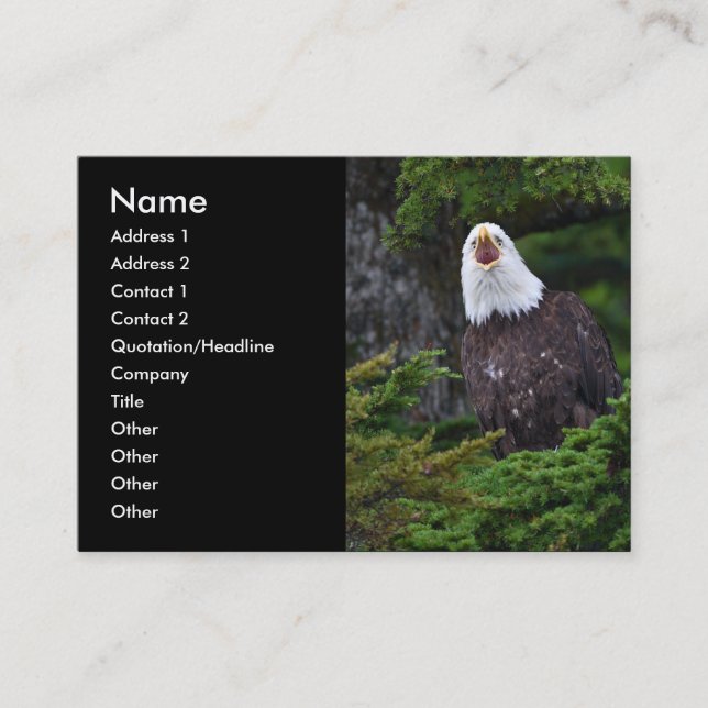 Visite profil ou carte de visite, aigle (Devant)