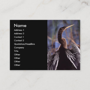 Visite profil ou carte de visite, anhinga