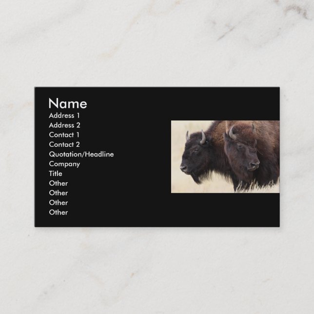 Visite profil ou carte de visite, bison (Devant)