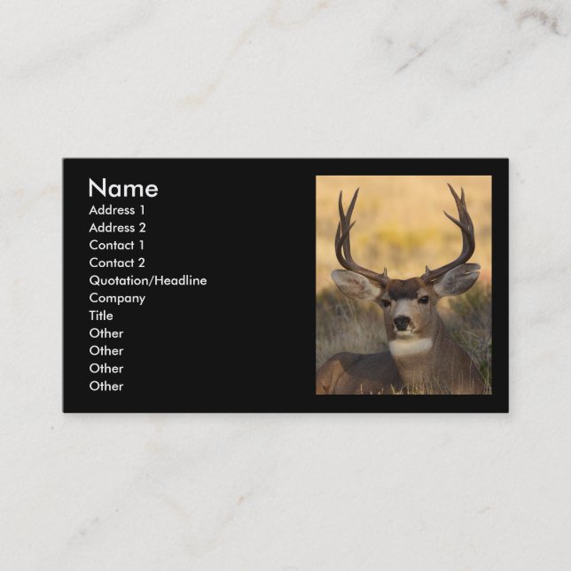 Visite profil ou carte de visite, cerf commun (Devant)