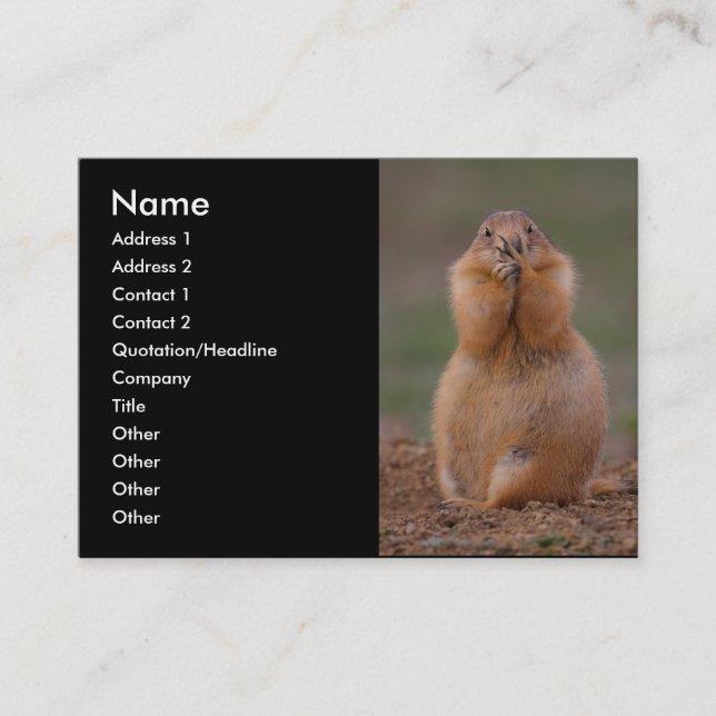 Visite profil ou carte de visite, chien de prairie (Devant)
