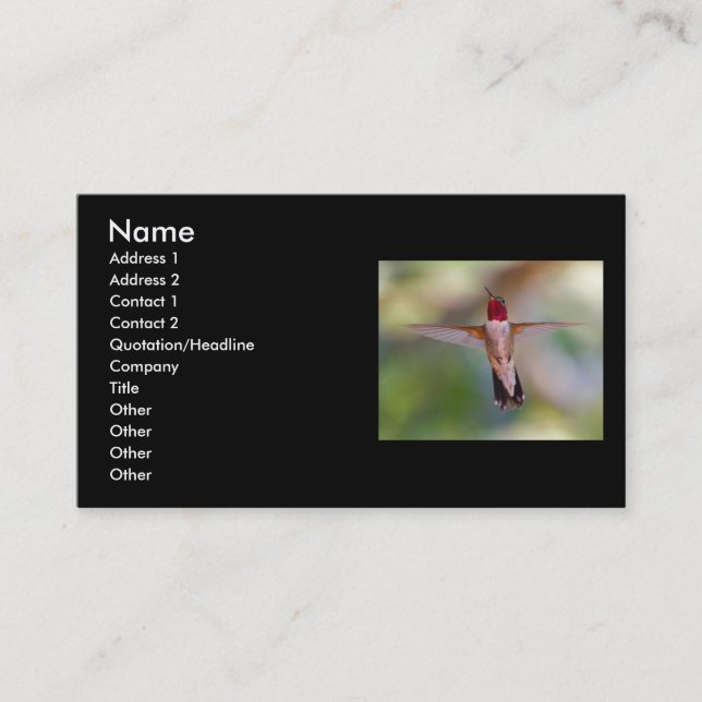 Visite profil ou carte de visite, colibri (Devant)